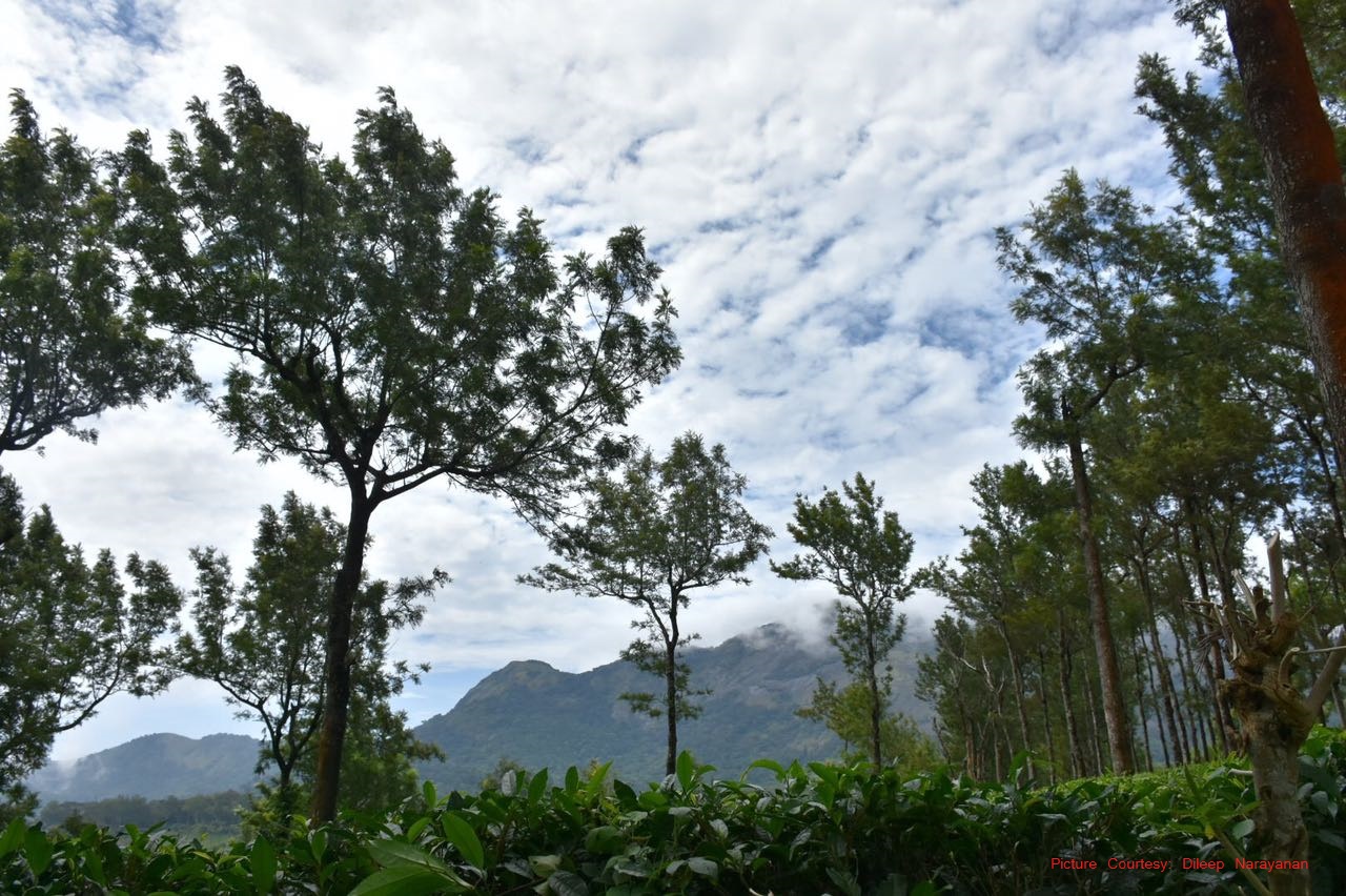 Beautiful Nelliyampathy