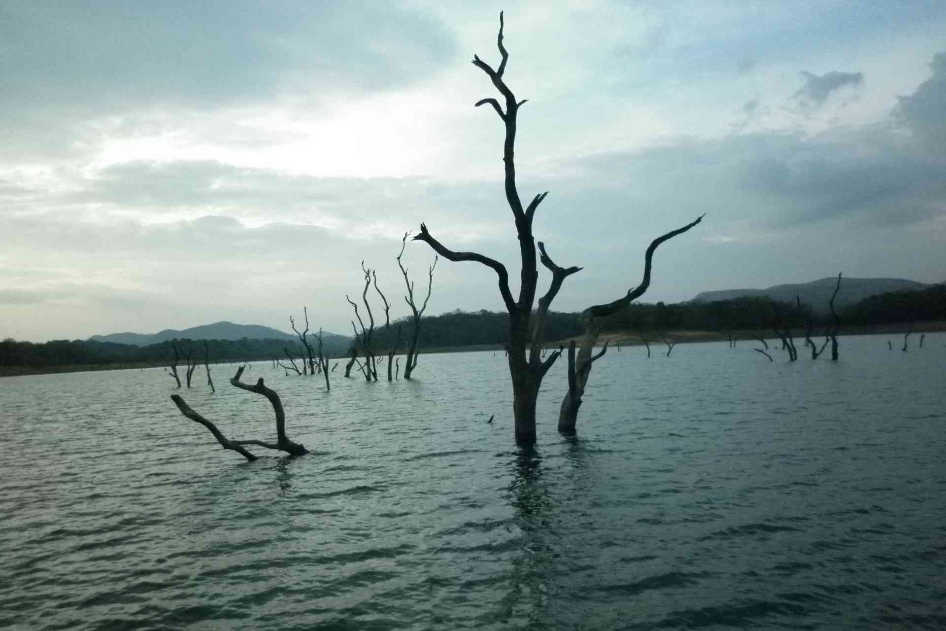 Thekkady Tour