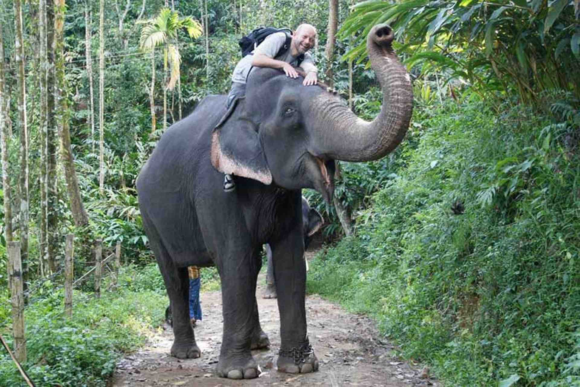Elephats safari at Thekkady