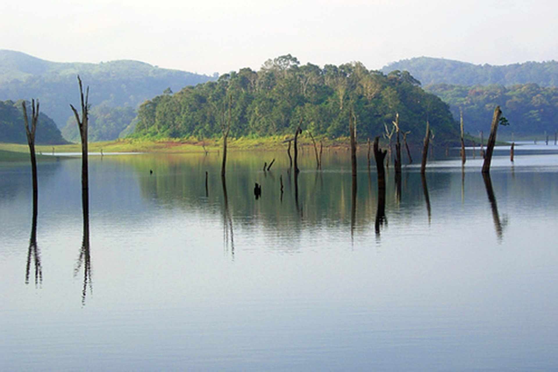Thekkady Tour