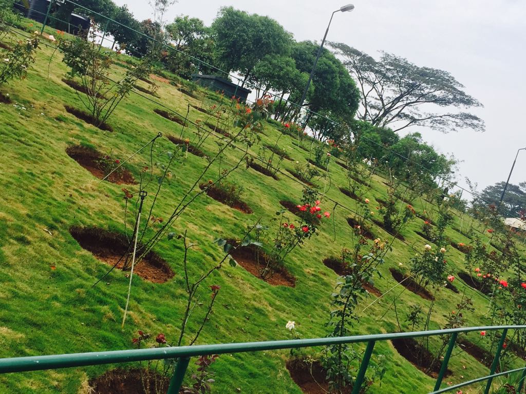 Vagamon Orchidarium