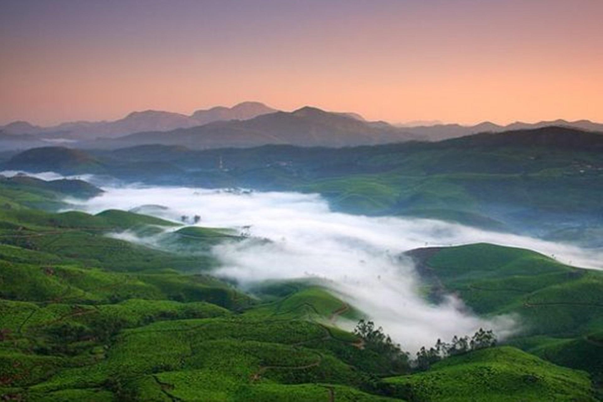 Mist in Munnar valley