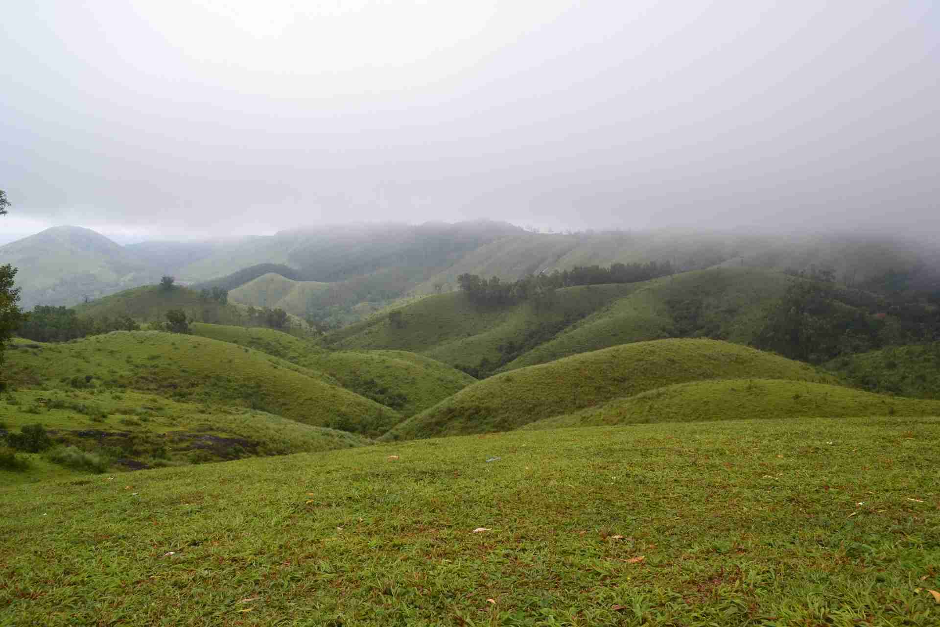 Vagamon Tour