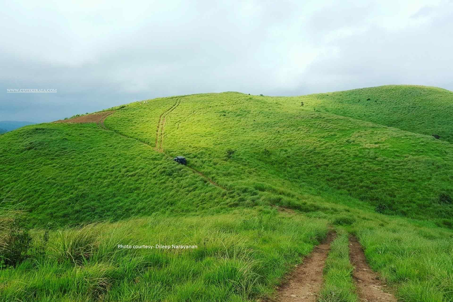 Vagamon Tour