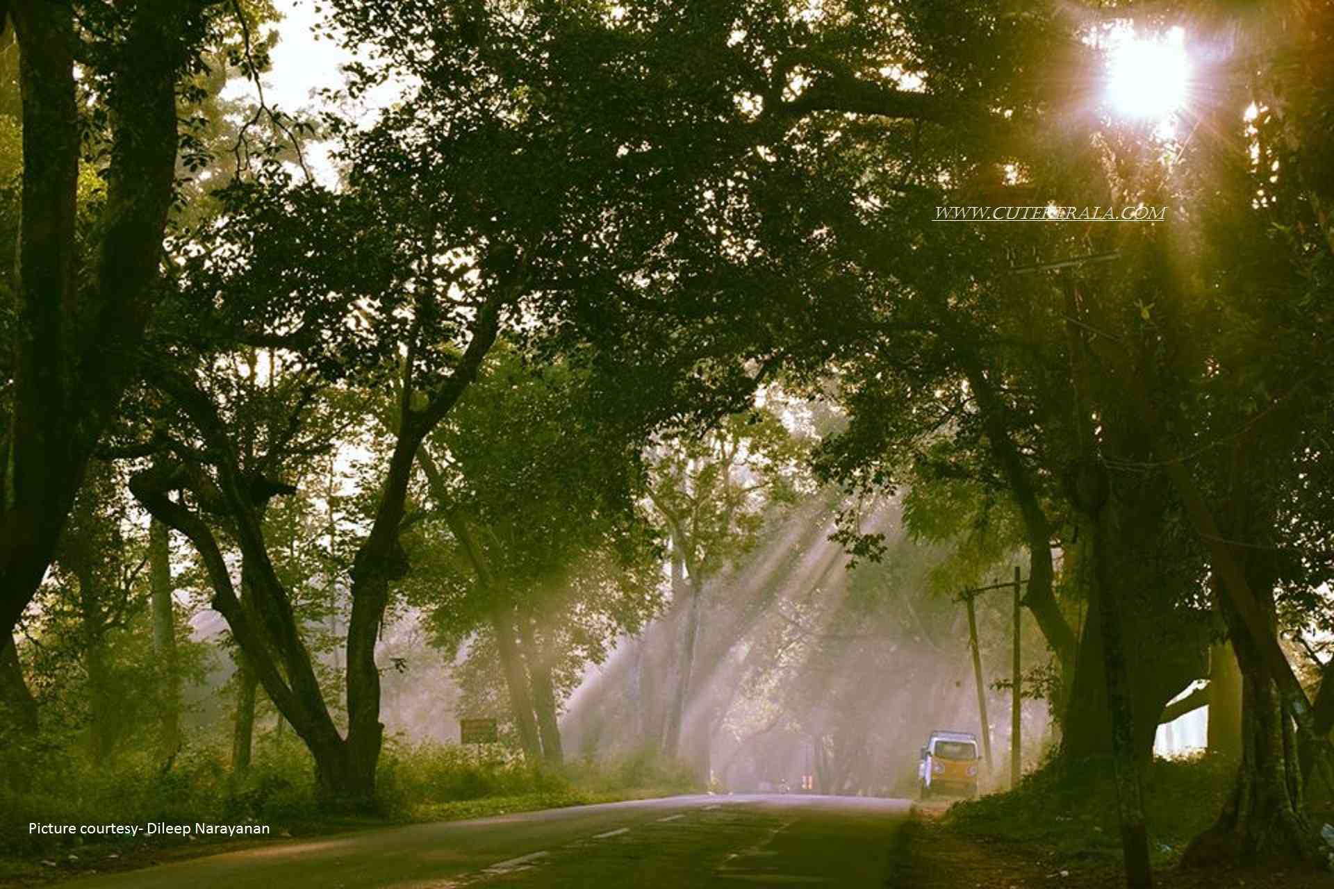 Wayanad Tour