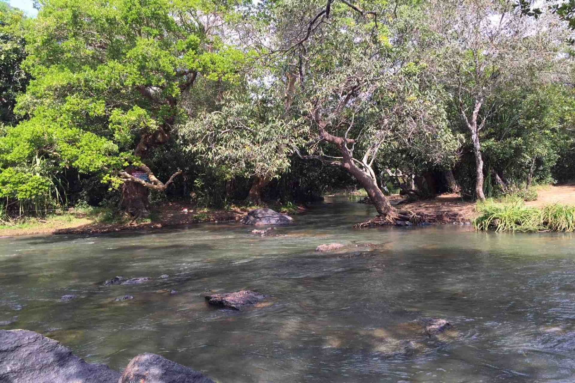 Wayanad Tour