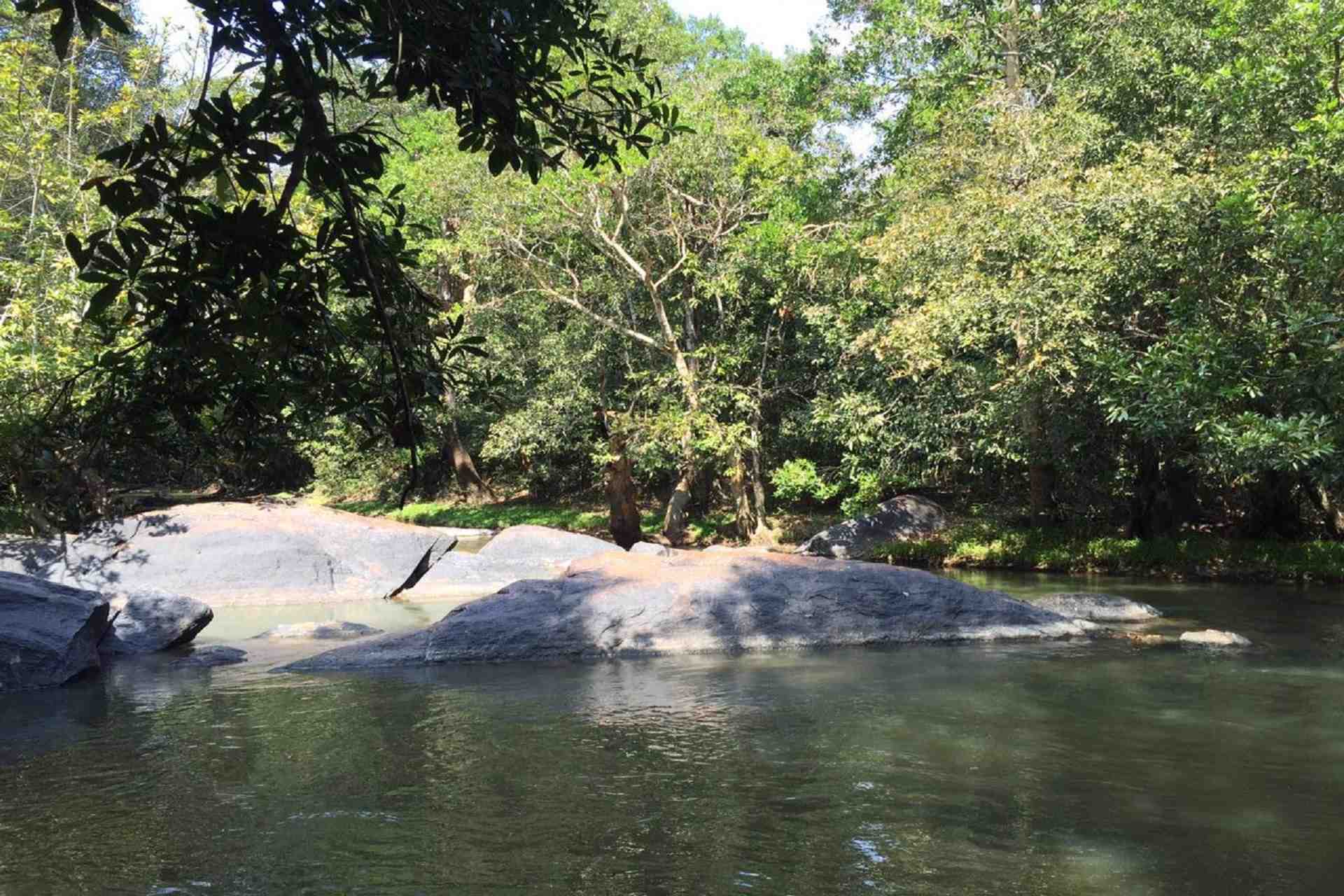 Wayanad Tour
