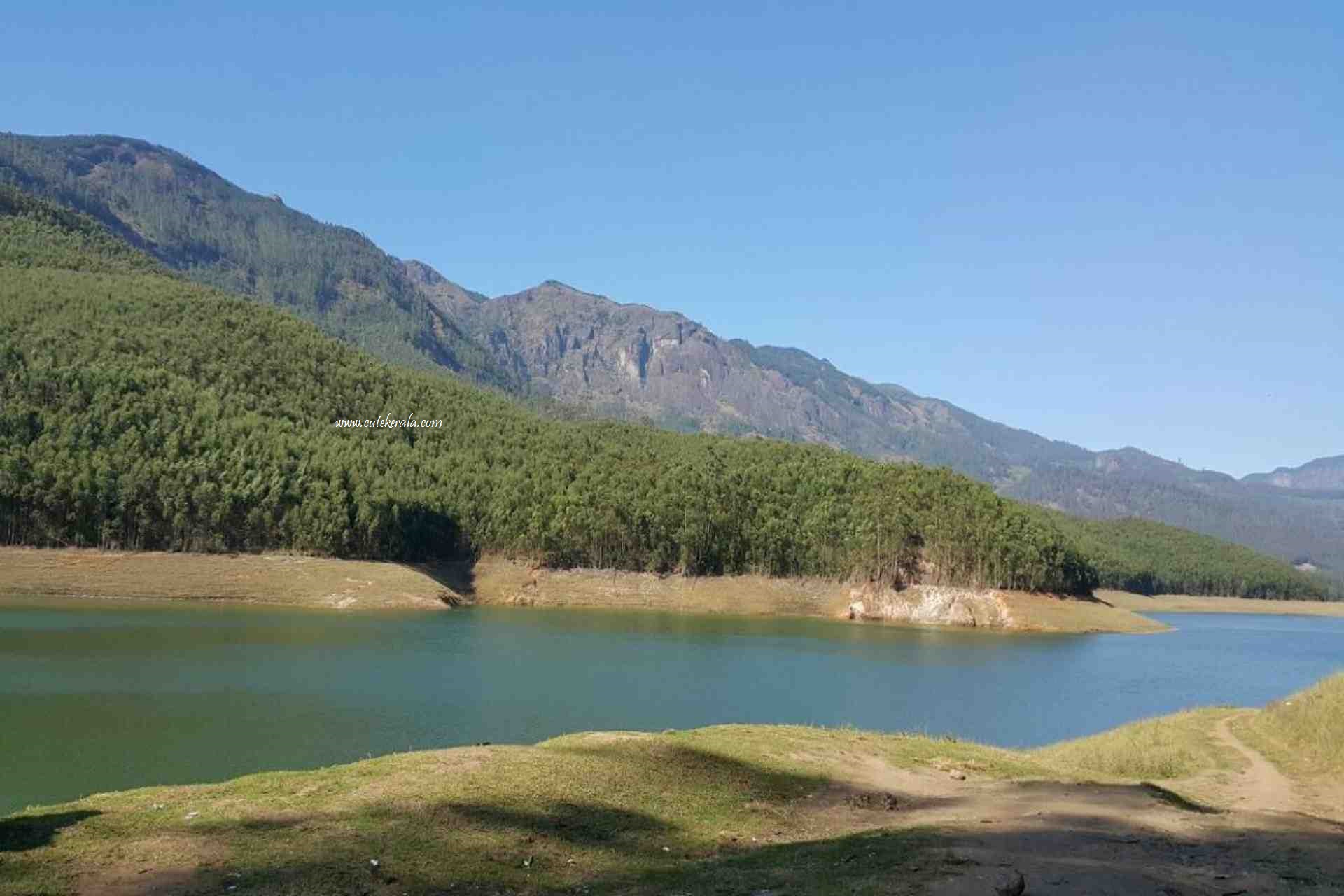 Mattupetty reservoir near Munnar