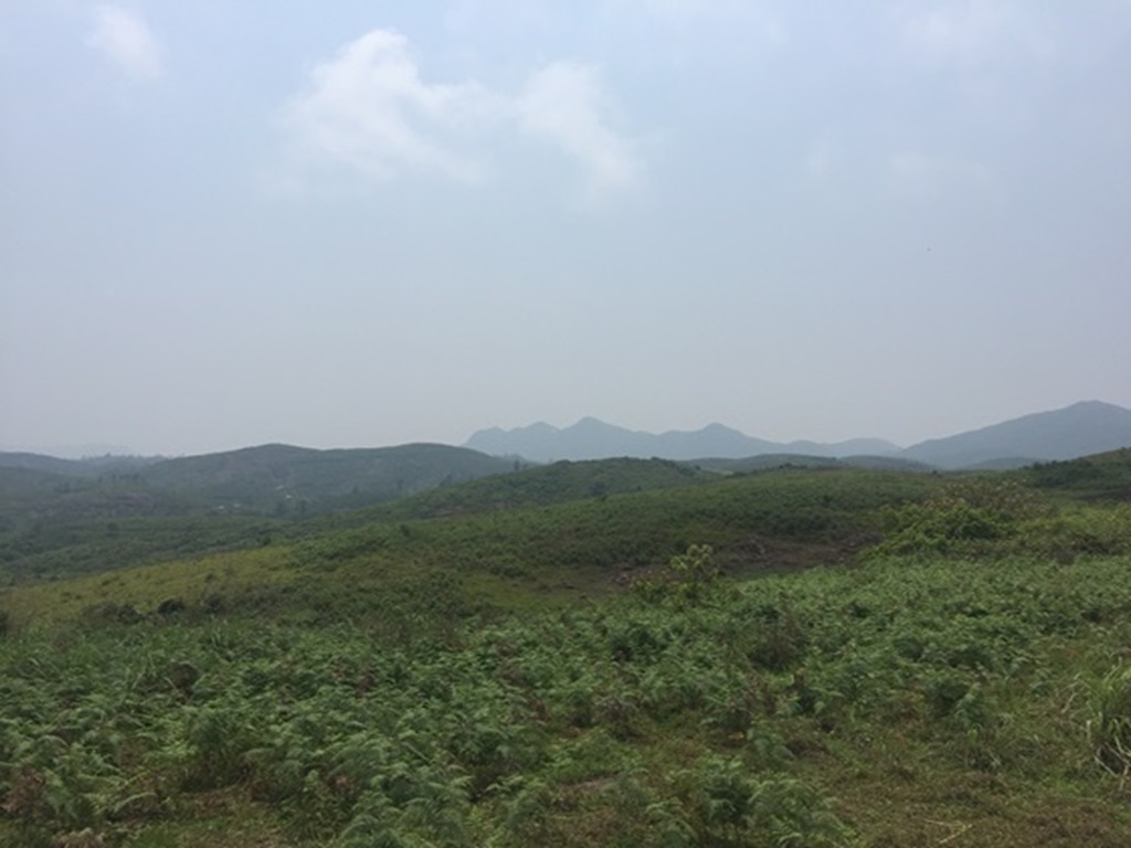 Uluppuni Trekking